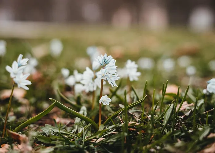 Gaestehaus Bettina Πανσιόν