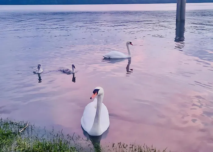 Gaestehaus Bettina Πανσιόν 3*