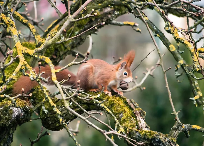 Guest house Gaestehaus Bettina 3*